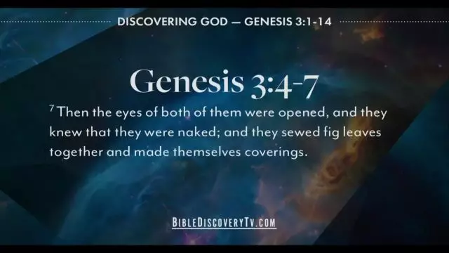 Bible Discovery - Genesis 3-5 Sin