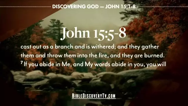 Bible Discovery - John 15 Living In Jesus Christ