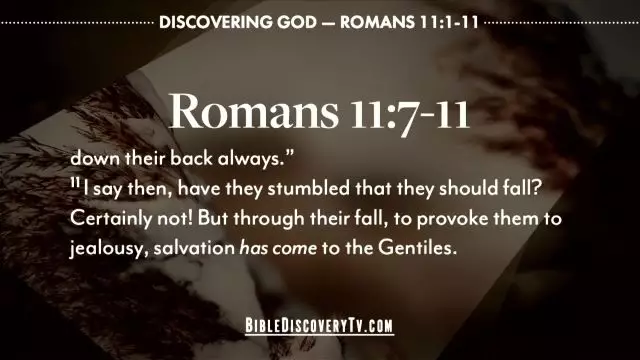 Bible Discovery - Romans 11 Salvation