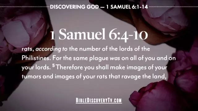 Bible Discovery - 1 Samuel 6 Finding Out the Truth