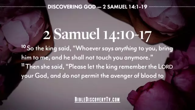 Bible Discovery - 2 Samuel 14 The Story of Sons