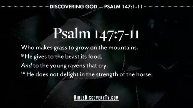 Bible Discovery - Psalm 147 God the Giver of Life