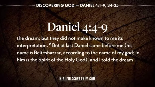 Bible Discovery - Daniel 4 The Dream