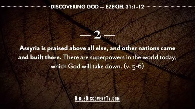 Bible Discovery - Ezekiel 31 Prophecy Against Egypt