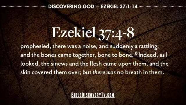 Bible Discovery - Ezekiel 37 From Dry Bones to Life