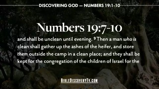 Bible Discovery - Numbers 19 The Red Heifer