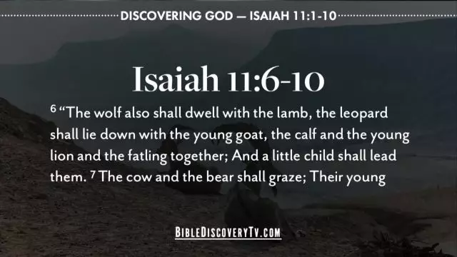 Bible Discovery - Isaiah 11 1-10 Jesus Christ