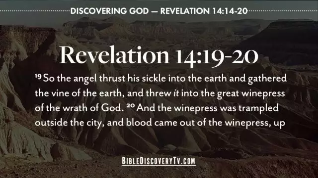 Bible Discovery - Revelation 14 14-20 The Harvest