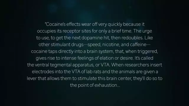 Bill Senyard - Your Brain on Drugs